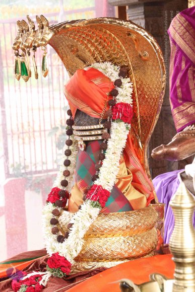 01-TEMPLE_Photo_1014_IMG_4626_CMP_WM