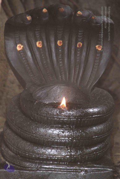 01-TEMPLE_Photo_1024_IMG_4648_CMP_WM