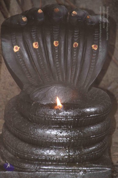 01-TEMPLE_Photo_1025_IMG_4649_CMP_WM