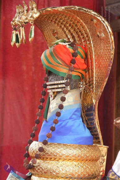 01-TEMPLE_Photo_1015_IMG_4756_CMP_WM