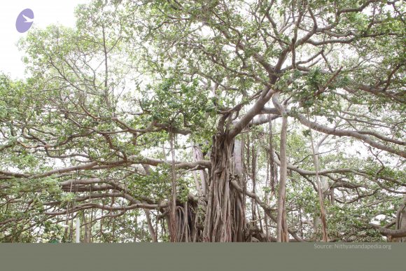 01-TEMPLE_Photo_1023_IMG_4767_CMP_WM