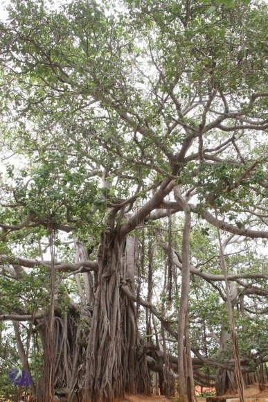 01-TEMPLE_Photo_1024_IMG_4768_CMP_WM