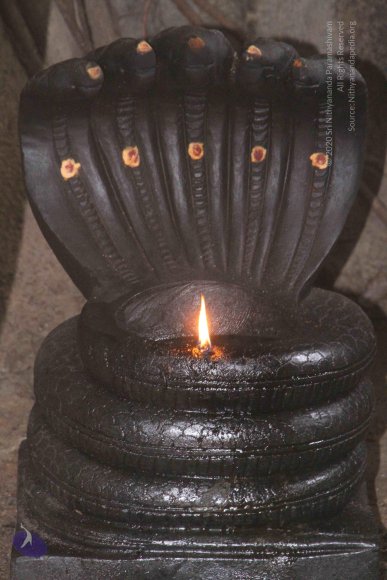 01-TEMPLE_Photo_1025_IMG_4769_CMP_WM