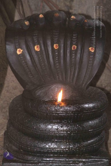 01-TEMPLE_Photo_1026_IMG_4770_CMP_WM