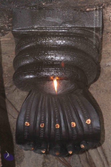 01-TEMPLE_Photo_1027_IMG_4774_CMP_WM