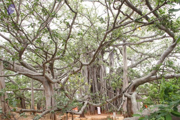 01-TEMPLE_Photo_1036_IMG_4792_CMP_WM