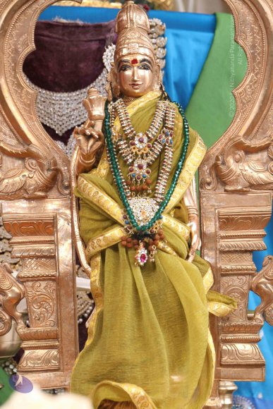 20130613_Photo_1004_IMG_4839_CMP_WM