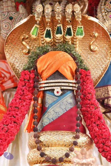 20130615_Photo_1013_IMG_5431_CMP_WM