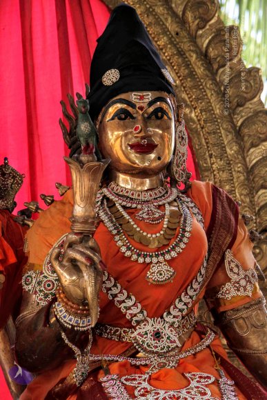 20130615_Photo_1048_IMG_5469_CMP_WM