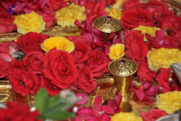 20130615_Photo_1003_IMG_5356_CMP_WM