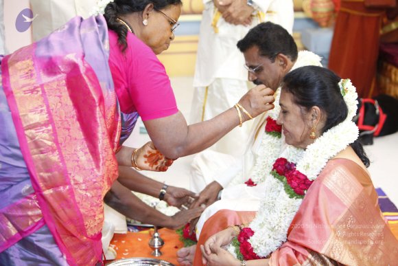 20130619_Photo_1071__MG_6108_CMP_WM