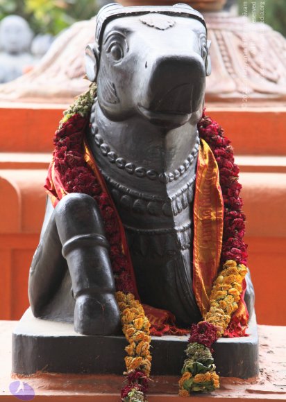 20130619_Photo_1002__MG_5896_CMP_WM