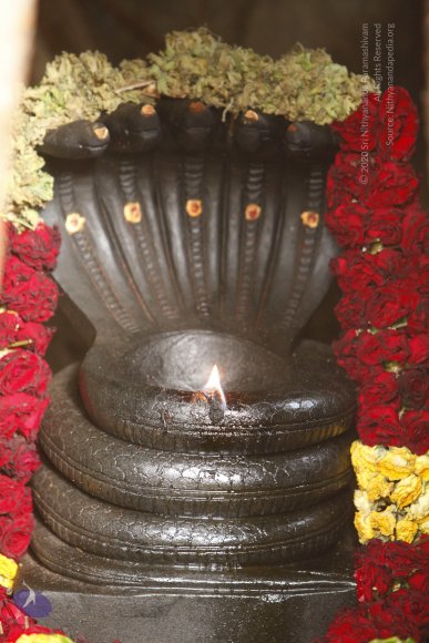 01-TEMPLE_Photo_1002__MG_6241_CMP_WM