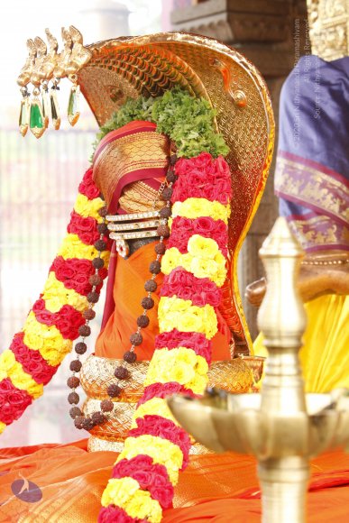 01-TEMPLE_Photo_1007__MG_6255_CMP_WM