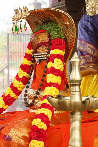 01-TEMPLE_Photo_1009__MG_6257_CMP_WM