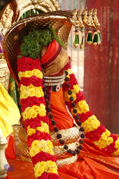 01-TEMPLE_Photo_1011__MG_6259_CMP_WM