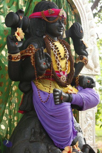 01-TEMPLE_Photo_1030__MG_6302_CMP_WM