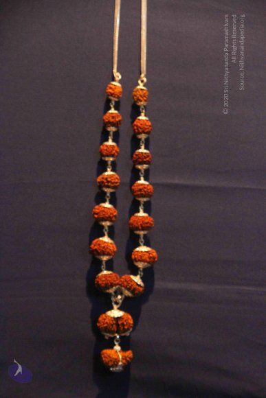 20130621_Photo_1018_IMG_6981_CMP_WM