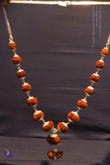 20130621_Photo_1019_IMG_6983_CMP_WM