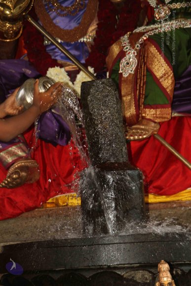 20130623_Photo_1000_IMG_7307_CMP_WM