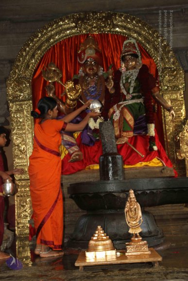 20130623_Photo_1001_IMG_7308_CMP_WM