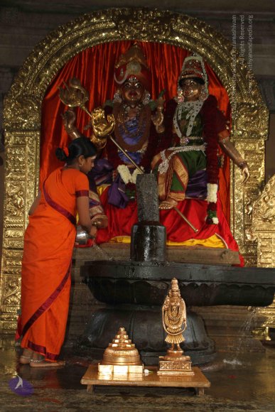 20130623_Photo_1002_IMG_7309_CMP_WM