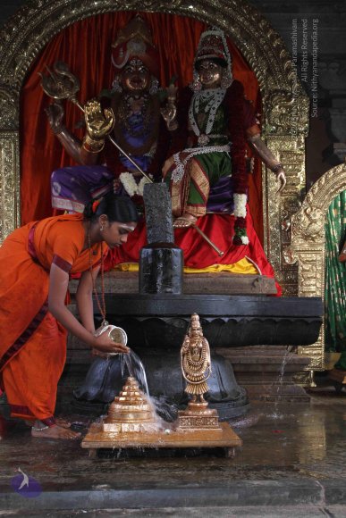 20130623_Photo_1004_IMG_7311_CMP_WM