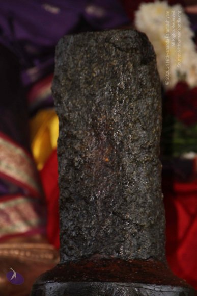 20130623_Photo_1007_IMG_7319_CMP_WM