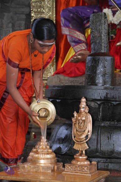 20130623_Photo_1008_IMG_7320_CMP_WM