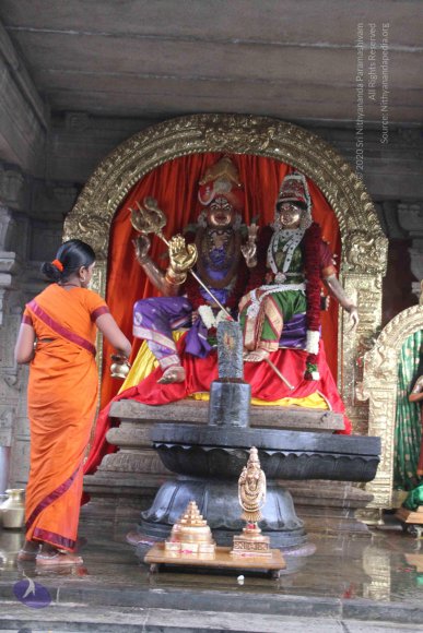 20130623_Photo_1011_IMG_7326_CMP_WM