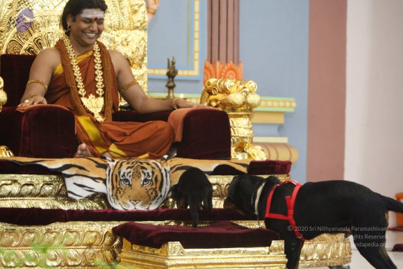 20130623_Photo_1000__MG_7398_CMP_WM