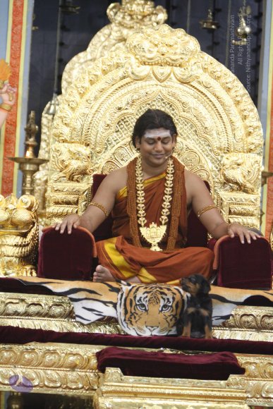 20130623_Photo_1002__MG_7409_CMP_WM