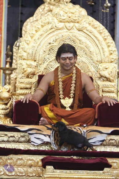 20130623_Photo_1003__MG_7410_CMP_WM