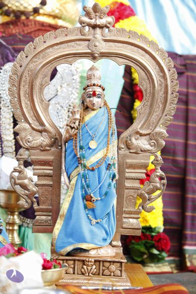 3-Temple_Photo_1006__MG_8457_CMP_WM