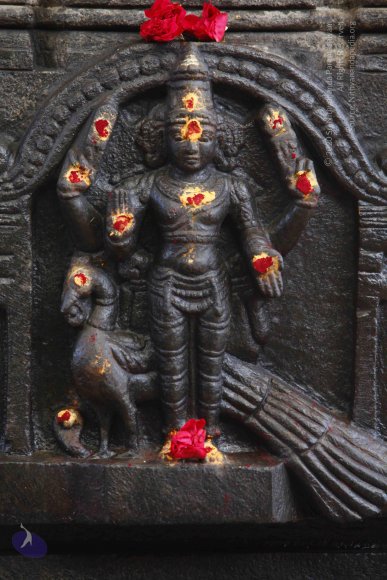 3-Temple_Photo_1008__MG_8468_CMP_WM