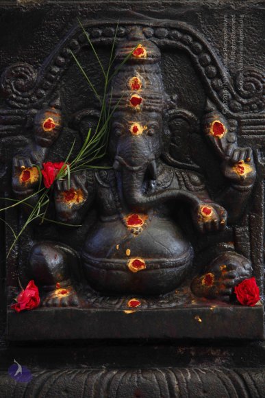 3-Temple_Photo_1009__MG_8470_CMP_WM