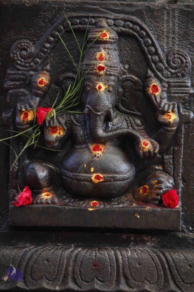 3-Temple_Photo_1010__MG_8472_CMP_WM