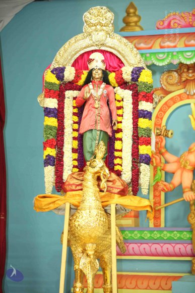 20130102_Photo_1001_IMG_9892_CMP_WM