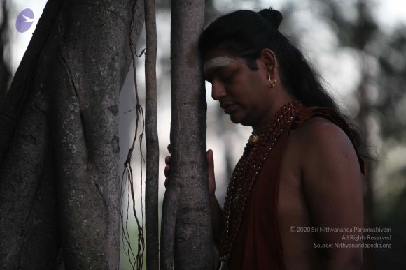 20130115_Photo_1010_1bWEBa9et7XT1ssdHgVmFJBRus7GcEj5C