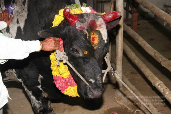 20130115_Photo_1016_1sjUQw-6vbYPISknuWfZ6cksjzvMX0Yjr