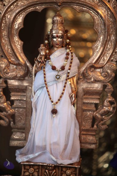 20130117_Photo_1004_IMG_0549_CMP_WM