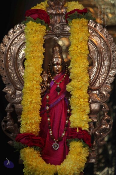 20130118_Photo_1003_IMG_0802_CMP_WM