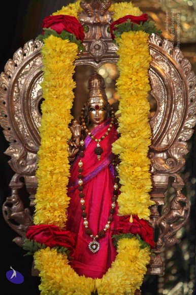 Temple_Photo_1006_IMG_0802_CMP_WM