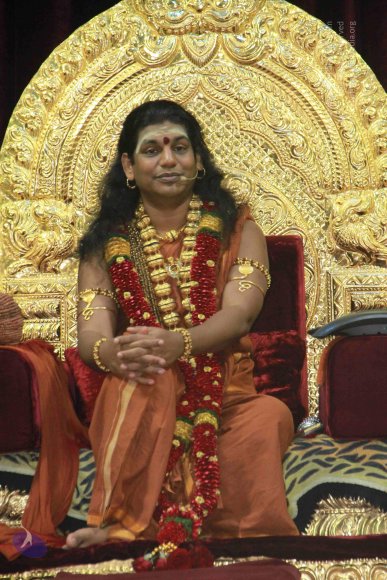 2-SATSANG_Photo_1065_IMG_9812_CMP_WM