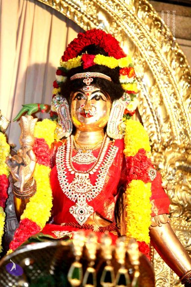 20130119_Photo_1079_1fb-_0rzBduOiRvyMiWZE7XT4rLkXoadF