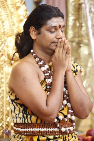 20130712_Photo_1015__MG_4891_CMP_WM