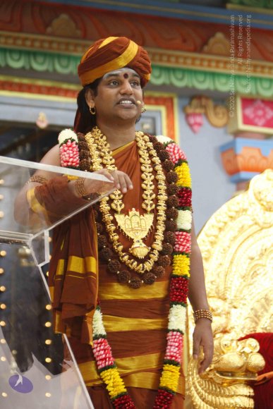 20130712_Photo_1003__MG_4668_CMP_WM