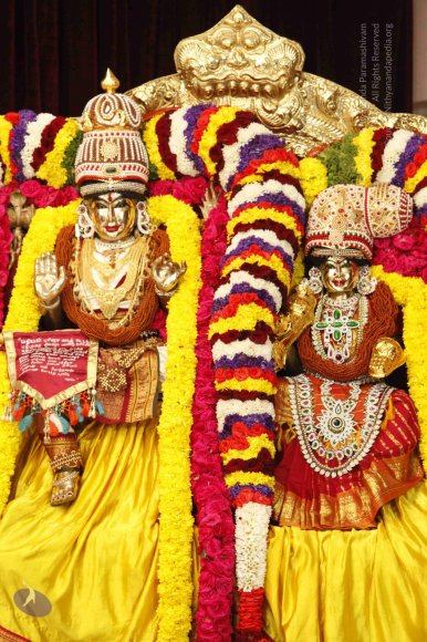 01-Leela-Alankar_Photo_1002__MG_6723_CMP_WM