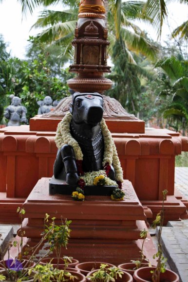 10-Temple_Photo_1001__MG_6938_CMP_WM