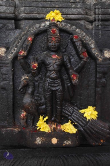 10-Temple_Photo_1012__MG_6996_CMP_WM